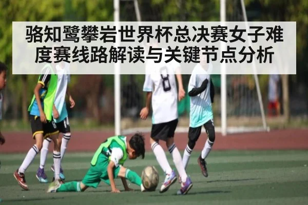 骆知鹭攀岩世界杯总决赛女子难度赛线路解读与关键节点分析